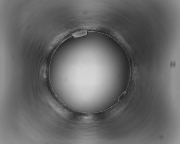 X0000111900068200907271208