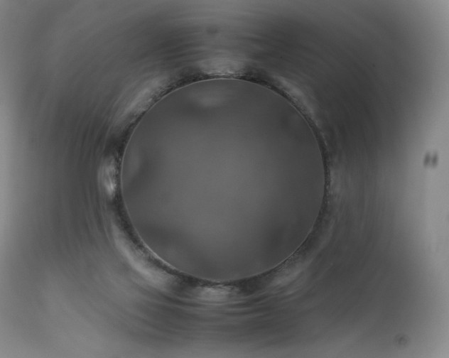 X0000111900069200907271208