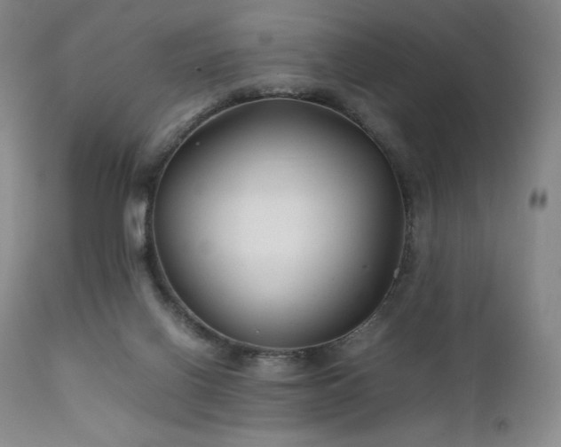 X0000111900070200907271208