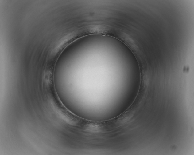 X0000111900071200907271208