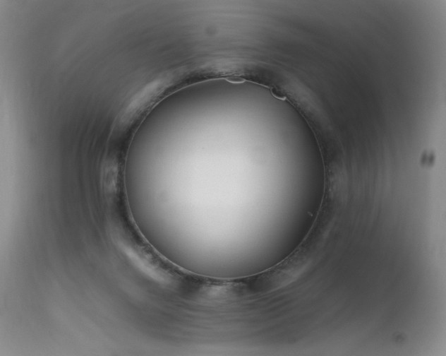 X0000111900072200907271208