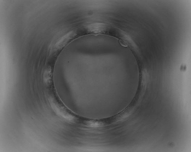 X0000111900073200907271208