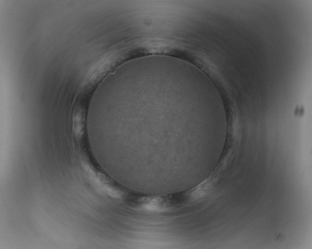 X0000111900074200907271208