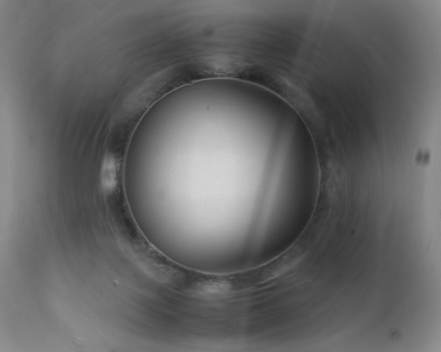 X0000111900075200907271208