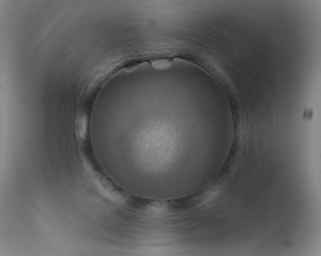 X0000111900076200907271208