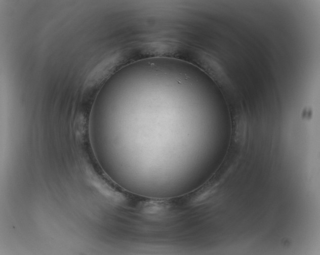 X0000111900077200907271208