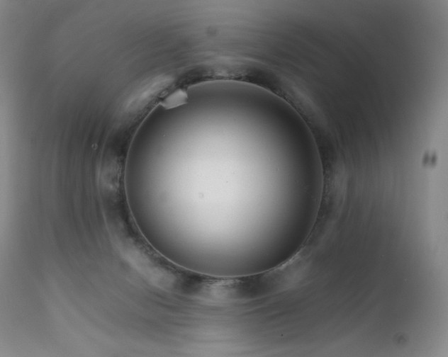 X0000111900078200907271208