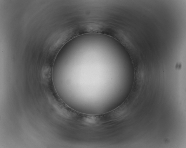 X0000111900079200907271208