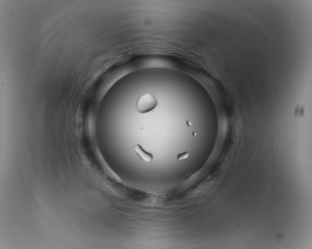 X0000111900080200907271208