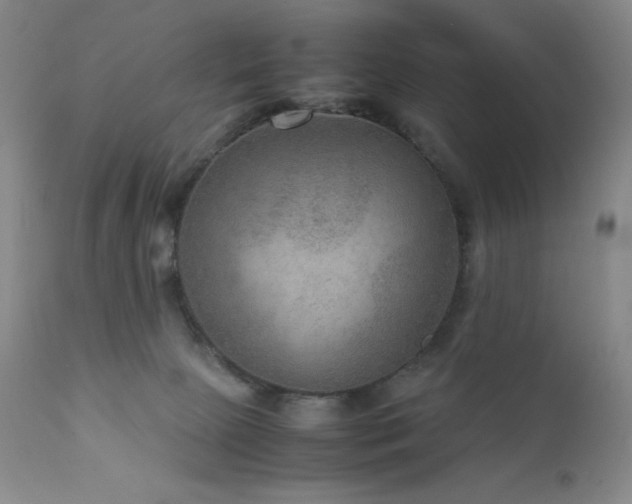 X0000111900081200907271208