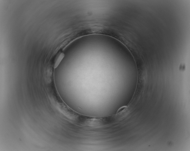 X0000111900082200907271208