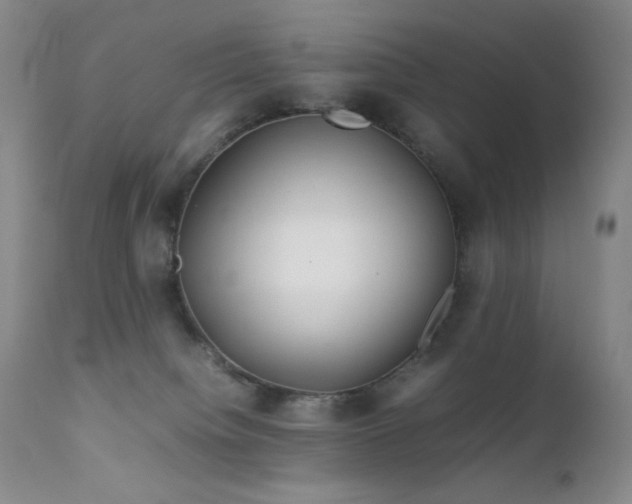 X0000111900084200907271208