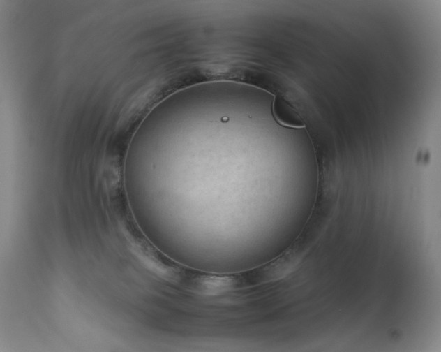 X0000111900085200907271208