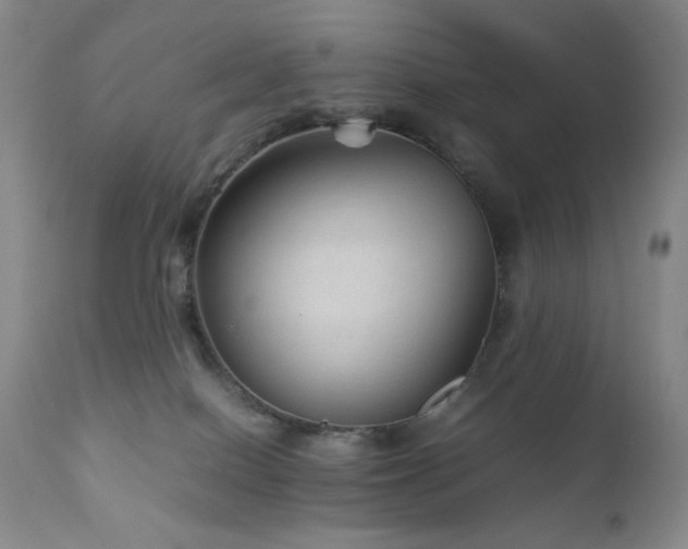 X0000111900086200907271208