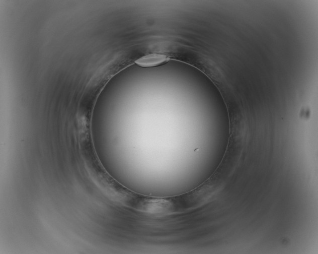 X0000111900087200907271208