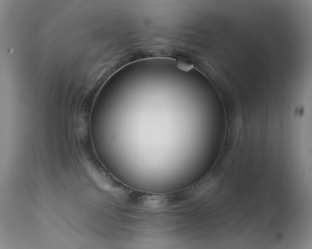 X0000111900088200907271208