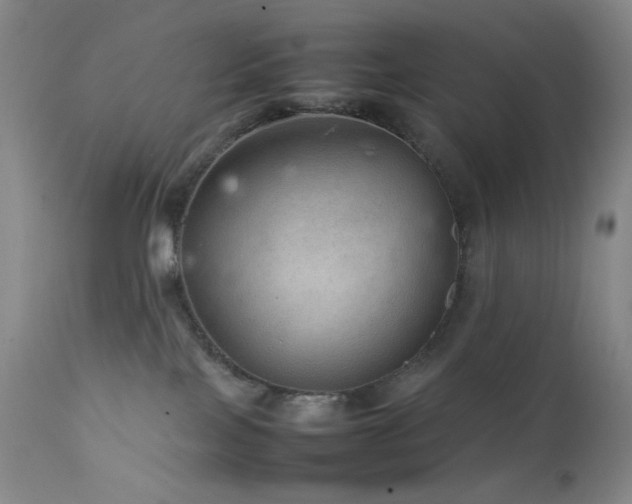 X0000111900089200907271208