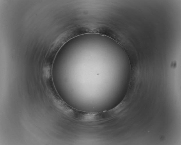 X0000111900090200907271208