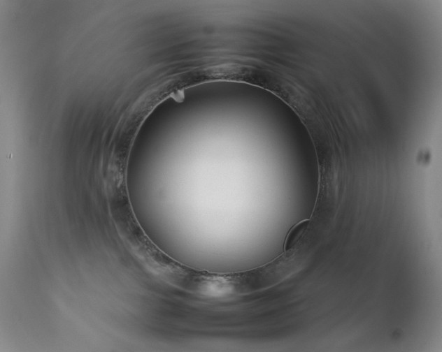 X0000111900091200907271208