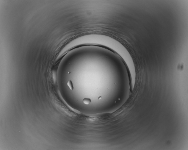 X0000111900092200907271208