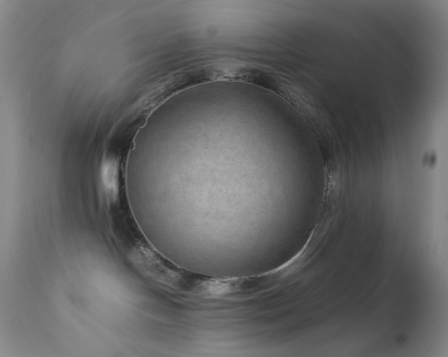 X0000111900094200907271208