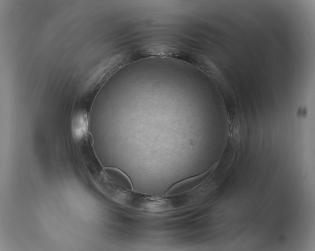 X0000111900095200907271208