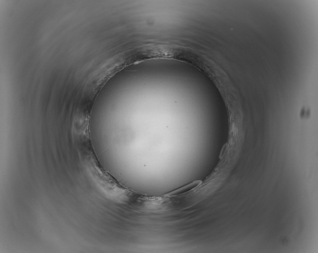 X0000111900096200907271208