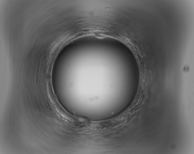 X0000111900097200907271208