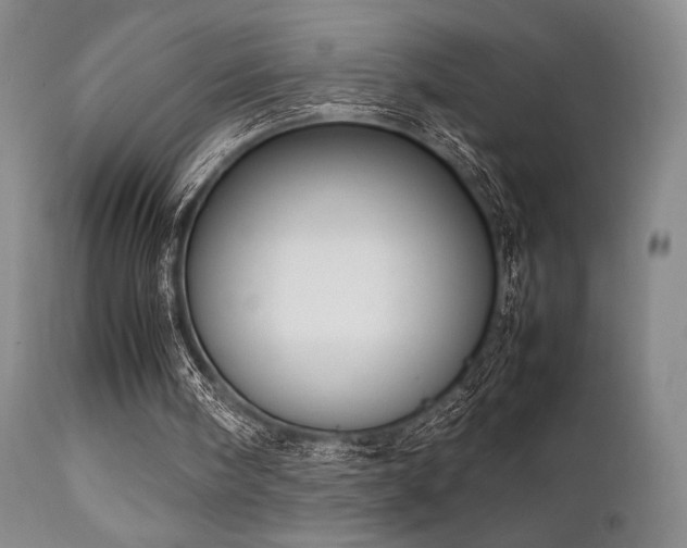 X0000111900098200907271208