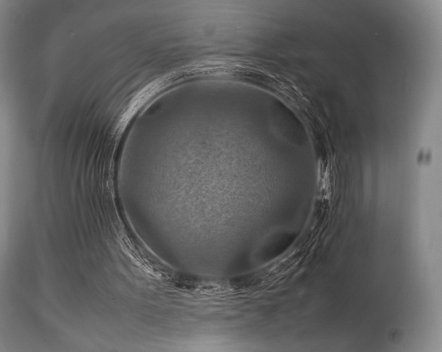 X0000111900099200907271208