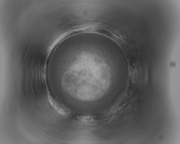 X0000111900100200907271208