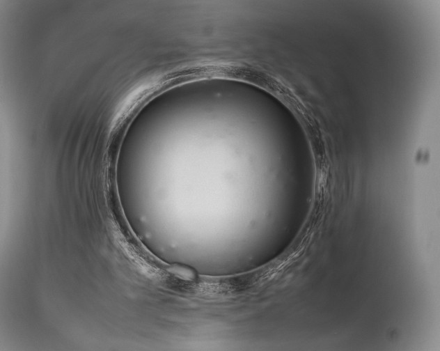 X0000111900101200907271208