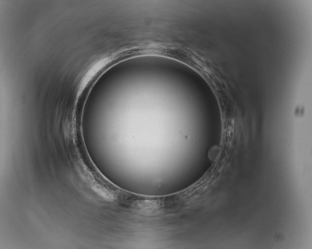 X0000111900102200907271208