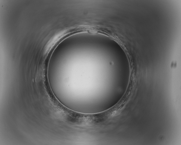 X0000111900103200907271208