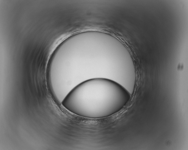 X0000111900104200907271208