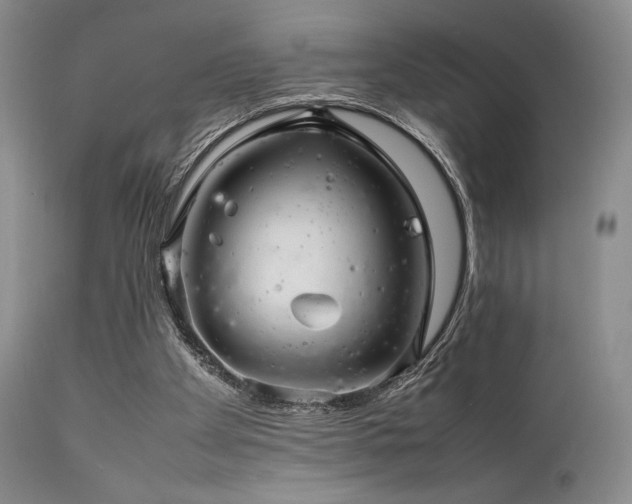 X0000111900105200907271207