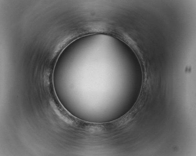 X0000111900106200907271207