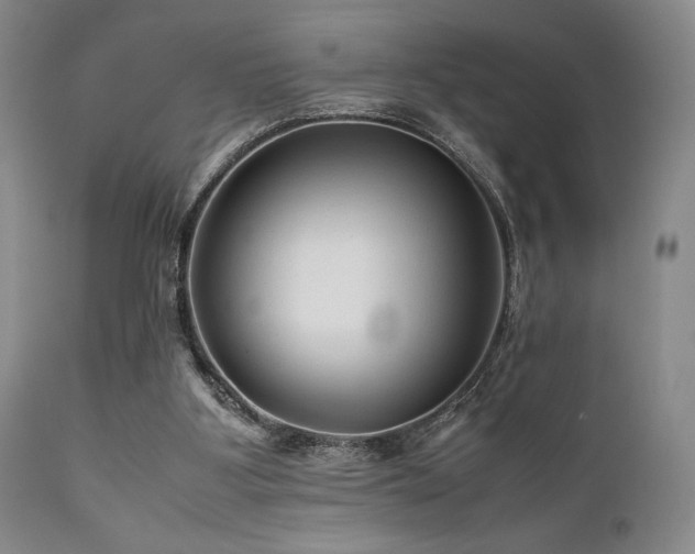 X0000111900107200907271207