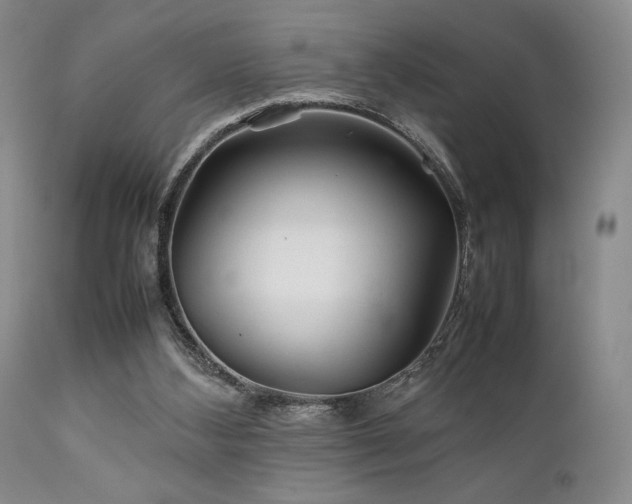 X0000111900108200907271207