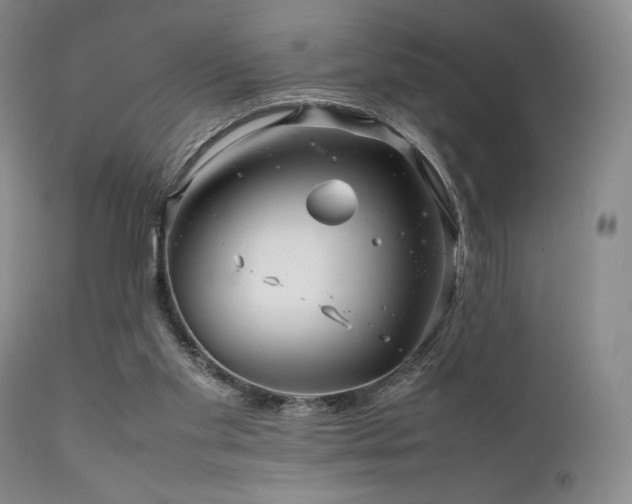 X0000111900109200907271207