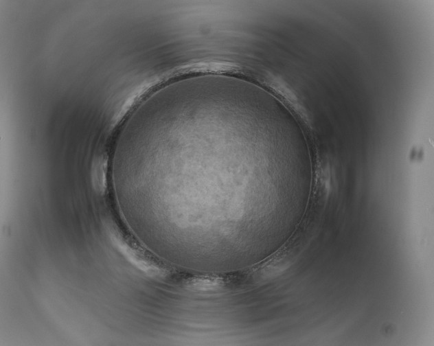 X0000111900110200907271207