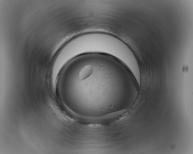 X0000111900112200907271207