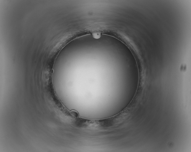 X0000111900113200907271207