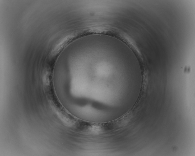 X0000111900114200907271207