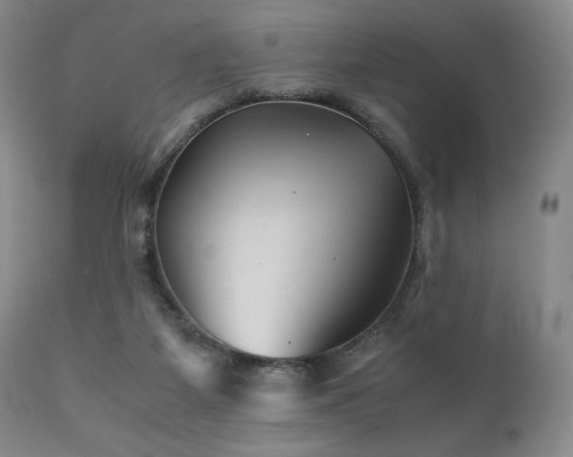 X0000111900115200907271207