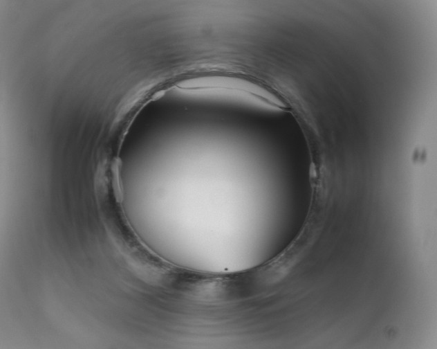 X0000111900116200907271207