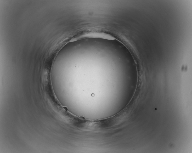 X0000111900117200907271207