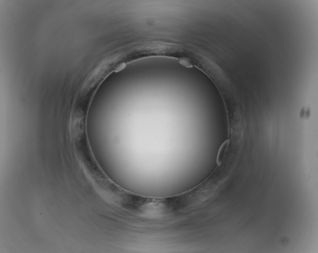 X0000111900119200907271207