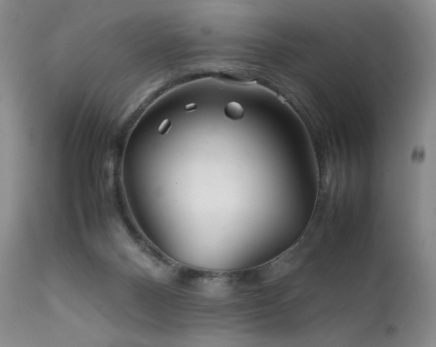 X0000111900120200907271207