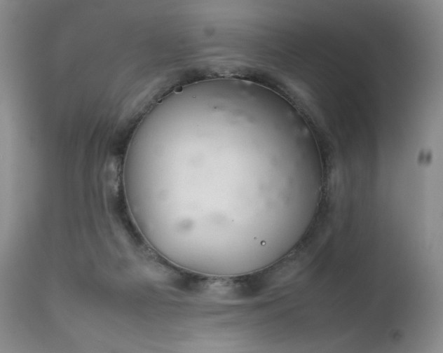 X0000111900121200907271207